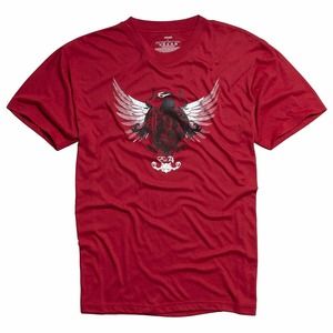 Fox Racing Men's Phoenix Dirt Tee T-Shirt - Red (Small)